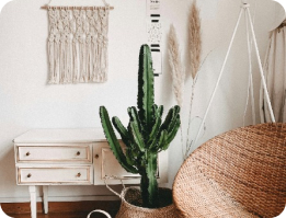 Floer-Sloophout-Laminaat-Vloer-Versleten-Planken-Donker-Sfeer-3